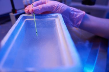 Elin steril eldivenle yakınlaştırılması vitrifikasyon çubuğunu sıvı nitrojene batırır.