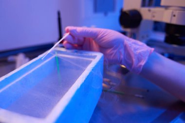 Bilim adamının eli steril eldivene sıkıştı vitrifikasyon çubuğunu sıvı nitrojenle dondurucu kutusuna daldırdı.