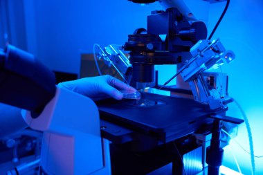 Araştırmacılar steril eldiven giymiş. Petri kabını pipet tutucuları arasında biyolojik örneklerle laboratuvar sahnesinde mikroskoba koyuyorlar.