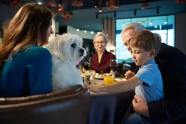Young woman holding dog while sitting in festive restaurant celebrating Christmas with her family