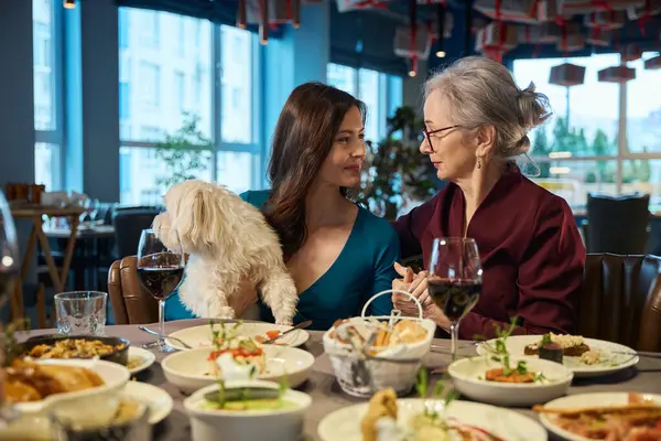 Young and aged women holding hands and talking at festive dinner sitting in restaurant with dog