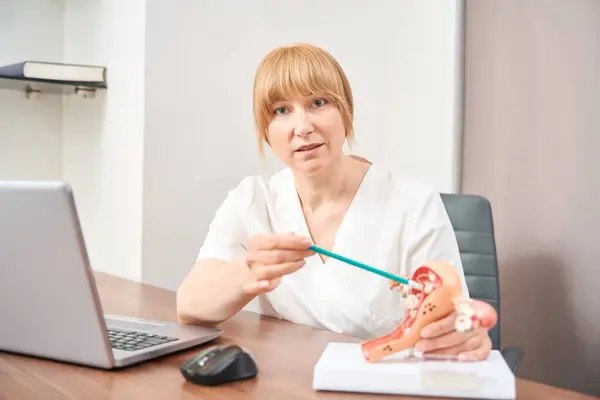 Qualified Doctor Gynecologist Holding Hands Model Female Vagina Explaining Structure — стоковое фото