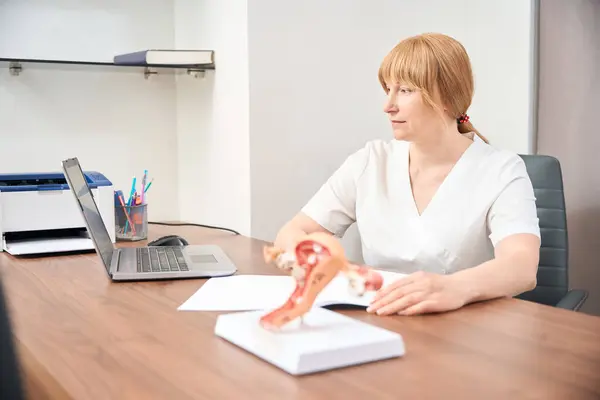 Female Practitioner Light Uniform Sitting Her Office Laptop Conducting Appointment — Stock Photo, Image