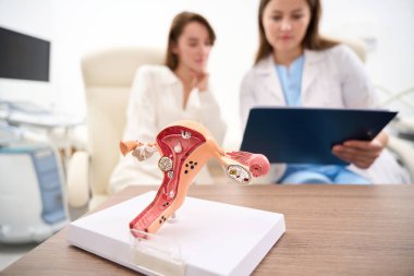 Selective focus of uterus model on table with blurred background of female doctor showing to woman patient her examining results in clinic. Concept of pregnancy and maternity clipart