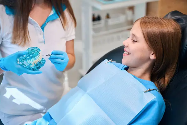 Hygienist Holds Model Dentition Her Hands She Consults Young Patient — Stock Photo, Image