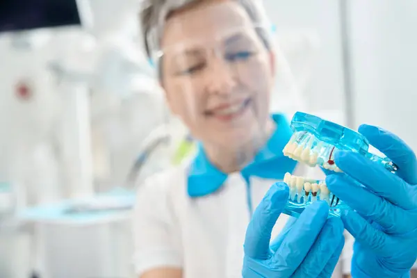目に見える根管 入れ歯 インプラント 冠を持つ歯の3Dデモンストレーションモデルを保持する透明な顔シールドの笑顔の女性歯科医 歯科疾患のデモンストレーション — ストック写真