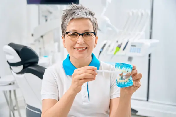 Atractiva Mujer Adulta Dentista Sosteniendo Modelo Demostrativo Mandíbula Cepillo Dientes —  Fotos de Stock