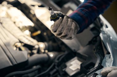 Koruyucu eldivenli genç bir erkek araç hizmet merkezinde ampul gösteriyor.