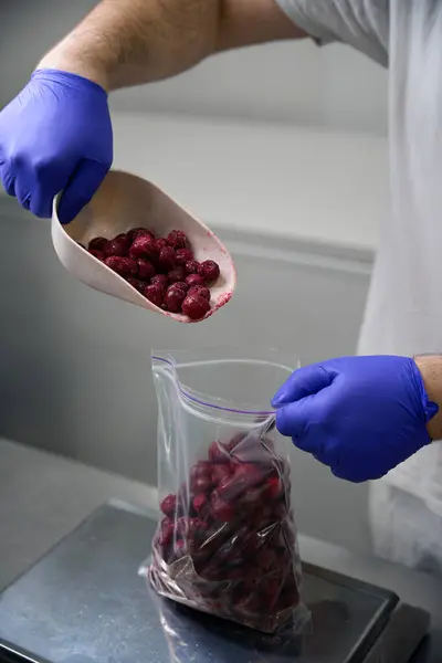 stock image Man bags and weighs frozen cherries, he uses professional scales