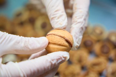 Pastacı, iki parça tatlı fındığı birbirine bağlıyor. İçine biraz dolgu ve fındık, özel fırın, kurabiye hamuru tarifi.