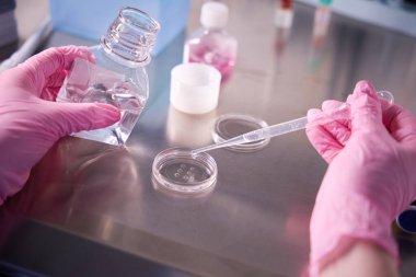 Pembe eldivenler giyen yetişkin doktorlar, üreme materyallerinin steril kullanımı üzerine yoğunlaşan bir dizi laboratuvar konteynırını dikkatle manevra yapıyor.