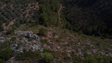Kosta Blanca 'nın engebeli arazisini kapsayan hava manzarasında zeytin ağaçları, çalılar ve dağlık bölgede kıvrılan toprak bir yol yer alıyor. Huzurlu, sakin atmosfer bölgenin doğal güzelliğini vurguluyor..
