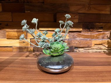 Minimalist dekoratif saksılar, oda duvarlarını süslemek ve dekore etmek için kullanılır. Orijinal şekline benzeyen plastik bitkiler. Ahşap duvarlarla birleştirilmiş bitkilerin görüntüsü gerçekten gözü bozuyor..