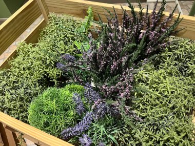 Şirin ve estetik ahşap bir sepetin içindeki plastik çiçek süslemesi. Bu renkli plastik bitkiler genelde odayı tatlandırmak için kullanılır. Yaşayan bir bitki gibi şekli göze çok hoş geliyor..