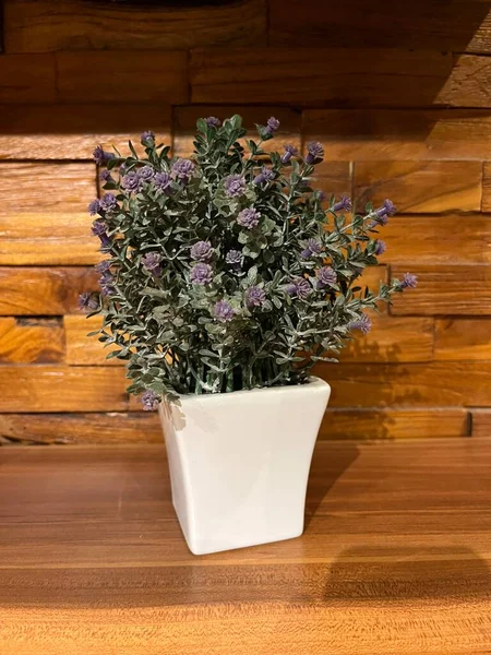 Minimalist decorative plant pots, commonly used to decorate and decorate room walls. Plastic plant that resembles its original form. Displays of plants combined with wooden walls really spoil the eye.