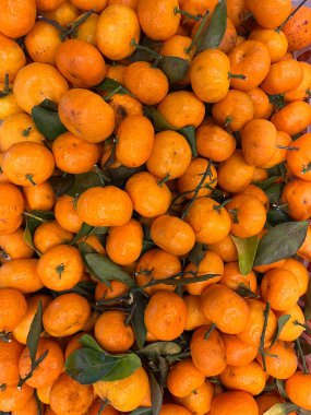 Collection of oranges in a display basket in a shop or market. orange fruit that is reddish yellow to greenish. various kinds of orange flavors from sour to sweet. fruit background ready for sale.