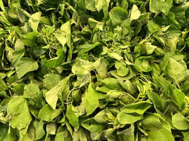 fresh fruit on display and ready for sale in the shop. Yields from fruit farmers. apples, melons, grapes, watermelon, avocados, guavas, grape. fresh fruit background ready to be used as design mockup.