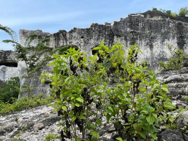 Jaddih Tepesi aslında beyaz kireçtaşı ocağı ve her zamanki gibi turistik bir yer değil. Bu kireçtaşı tepesinin bazı kısımları kasten güzel bir izlenim verecek şekilde şekillenmiştir.. 