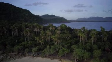 Doğal manzaraya açık gökyüzü, güzel ağaçlar ve yeşil dağlar eşlik ediyor. Doğal manzara konsepti için çok güzel bir hava aracı. Ormanın üzerinden uçmak, doğal arka plan hareket halinde