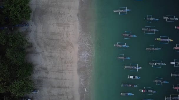 Vídeo Aéreo Vista Beira Mar Com Barcos Pesca Vários Barcos — Vídeo de Stock