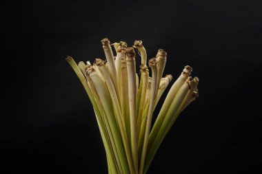 Siyah arka planda izole edilmiş limon otu, yüksek çözünürlüklü fotoğraf.