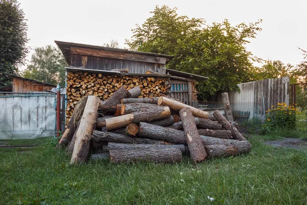 Cut Logs Lie Randomly Back Yard Stack Logs Preparation Firewood — Stock Photo, Image