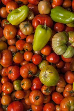 Harvest of homemade ripe tomatoes and green pepper. Top view