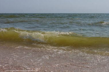 Deniz manzaralı. Güneşli bir günde Karadeniz 'in büyük ve fırtınalı dalgaları. Küçük alan derinliği