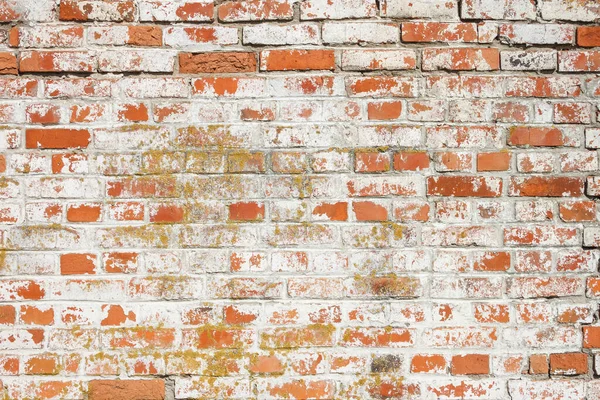 Brick background. Old brick wall