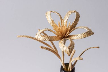 Çiçek boş bir şişede beyaz bir arkaplanda samandan yapılmıştır.