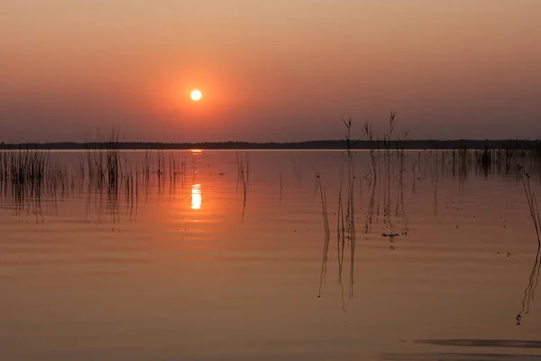 Solnedgång Sjön Kvällshimlen Med Vackra Moln Reflekteras Vattnet Sjön — Stockfoto