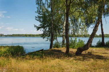 Orman Gölü manzaralı