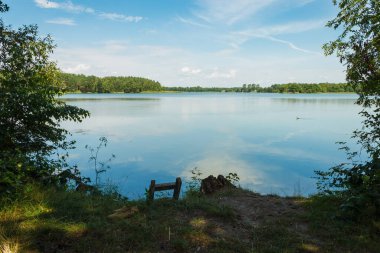 Bir orman gölünün kıyısında ayakkabılar
