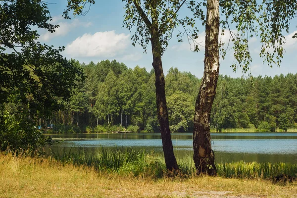 Utsikt Över Skogssjön Genom Trädet Kan Vattenytan Och Den Blå — Stockfoto