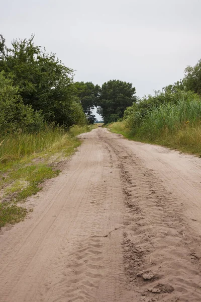 stock image Old  country road in summer cloudy day. Bushes and corn on both sides of the field road