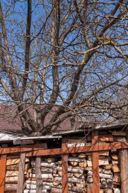 Mavi arka planda odun ve ağaç yığını. Kış mevsimine hazırlık. 