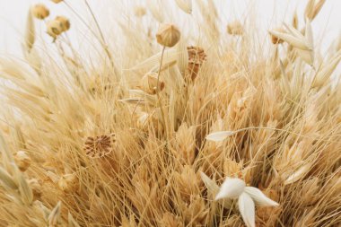 Didukh. Parça yakın çekim. Ukrayna Noel süsü ve geleneksel sembol. Farklı mısır gevreklerinden yapılmış.