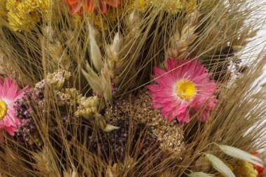 Didukh. Parça yakın çekim. Ukrayna Noel süsü ve geleneksel sembol. Farklı mısır gevreği ve çiçeklerden yapılmıştır..
