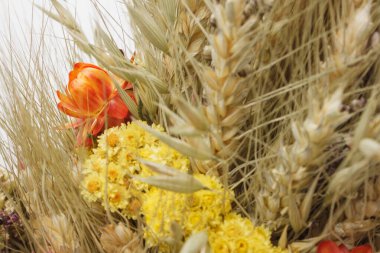 Didukh. Parça yakın çekim. Ukrayna Noel süsü ve geleneksel sembol. Farklı mısır gevreği ve çiçeklerden yapılmıştır..