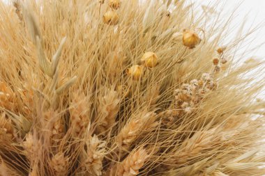 Didukh. Parça yakın çekim. Ukrayna Noel süsü ve geleneksel sembol. Farklı mısır gevreklerinden yapılmış.