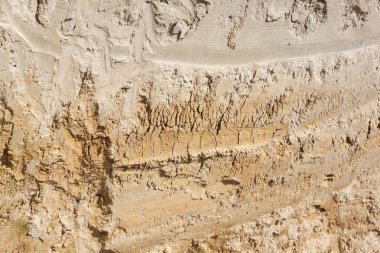 Toprağın enine kesitinin arkaplan resmi. Yakın çekim dokusu