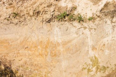 Toprağın enine kesitinin arkaplan resmi. Yakın çekim dokusu