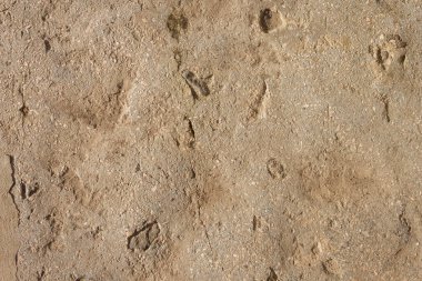 Betonun dokusu güneş ışığıyla aydınlanır. Üst Manzara 'ya yakın çekim. Arkaplan