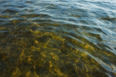 Dalgalar ve parıltılar suyun yüzeyinde. Sığ. Göl. Arkaplan