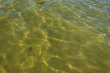 Dalgalar ve parıltılar suyun yüzeyinde. Sığ. Göl. Arkaplan