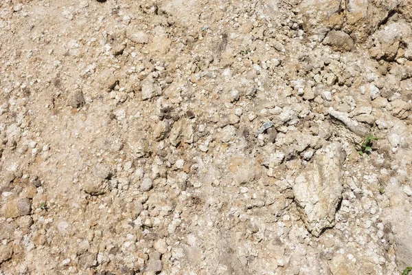 Toprak Yüzeyi Çamur Kum Doku Yakın Çekim — Stok fotoğraf