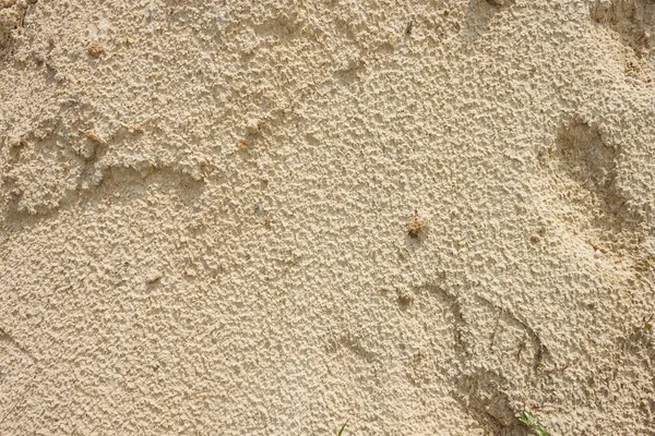 雨の後の砂の表面の質感 — ストック写真