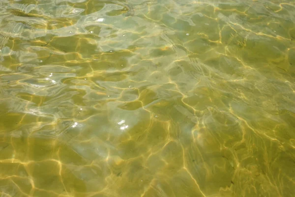 Waves Glare Surface Water Shallow Lake Background — Stock Photo, Image