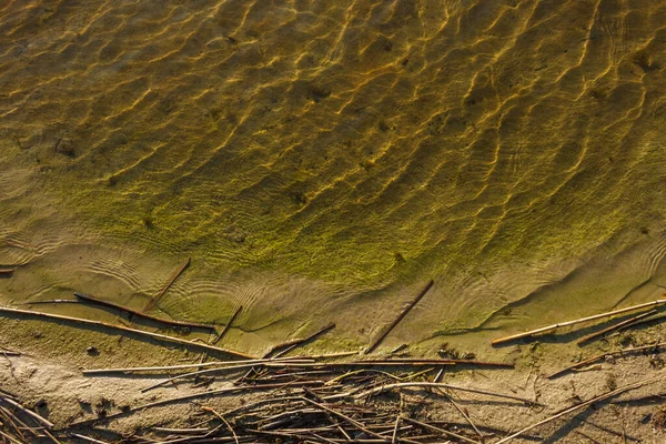Fale Blask Powierzchni Wody Jeziora Pozostałości Trzciny Brzegu Jeziora Kontekst — Zdjęcie stockowe