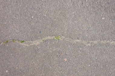 Asfaltta çatlak var. Hasarlı asfalt dokusu